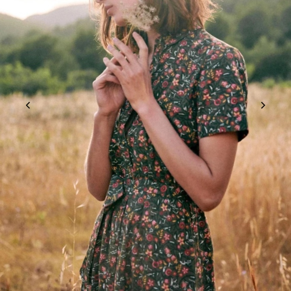 NWT sezane dress